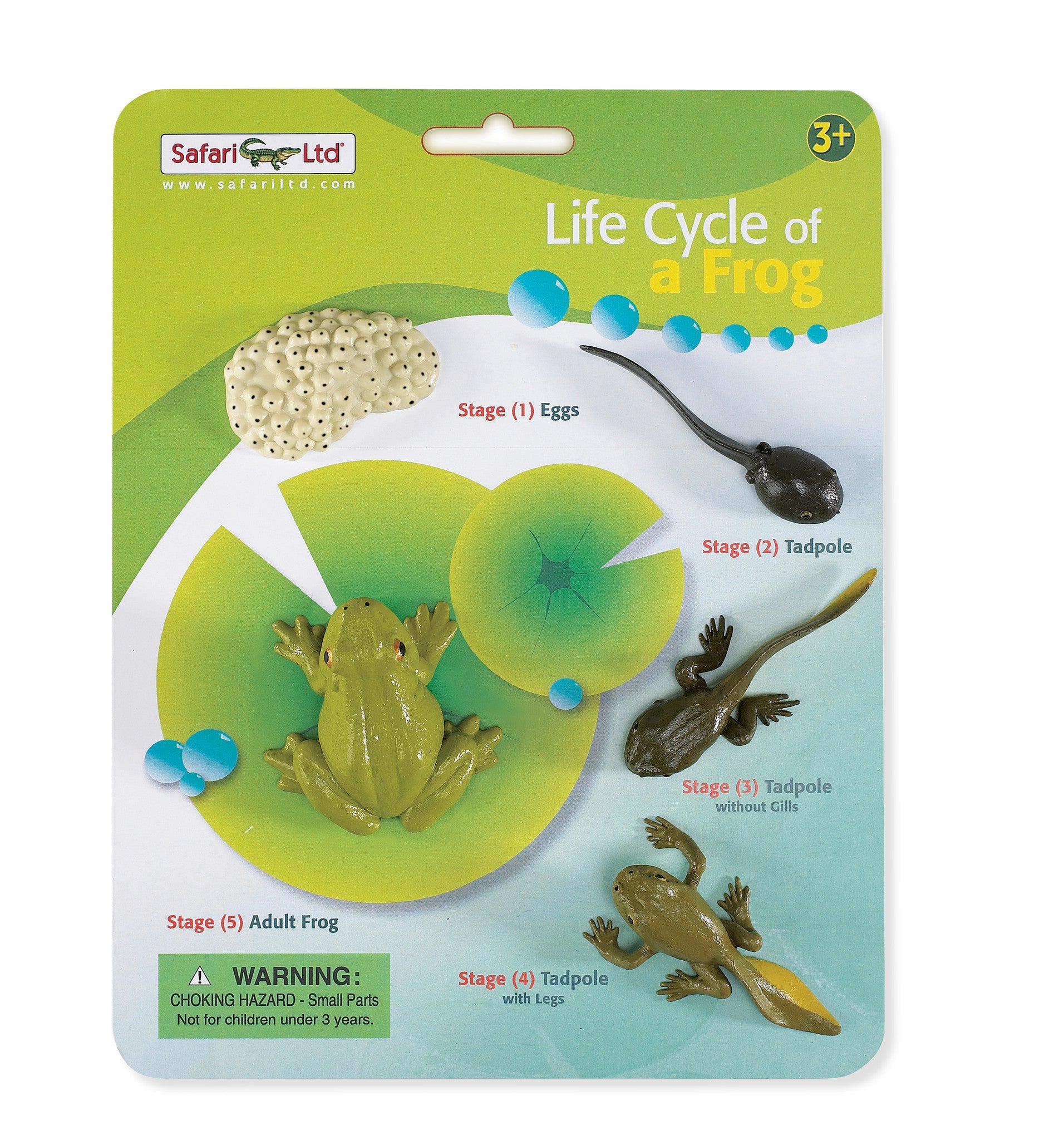Lifecycle Sets